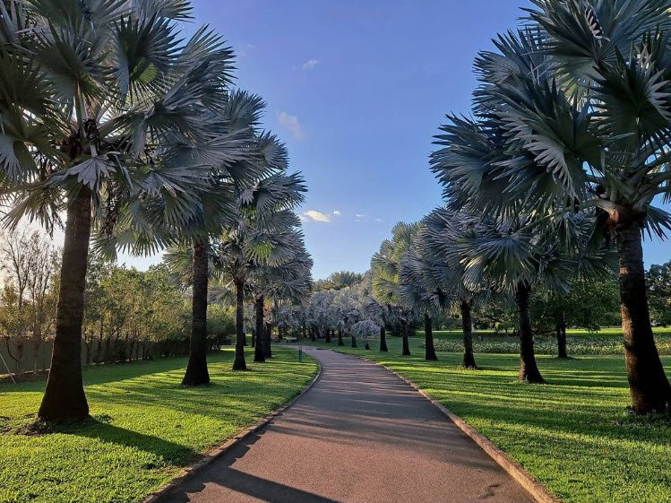 Anderson Park, Australia